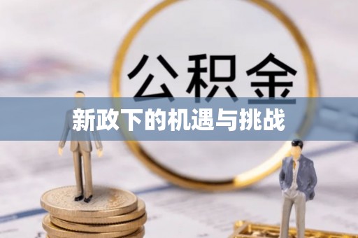 雾台新政下的机遇与挑战