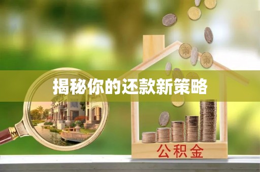 雾台揭秘你的还款新策略